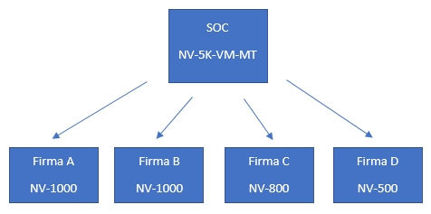 NACVIEW - Multi tenant - przykład